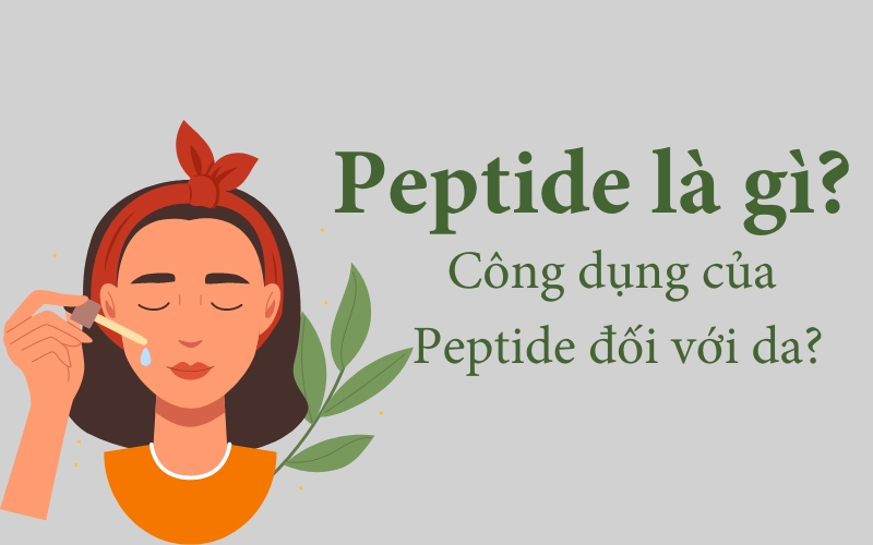 Peptide là gì và công dụng của peptide đối với da