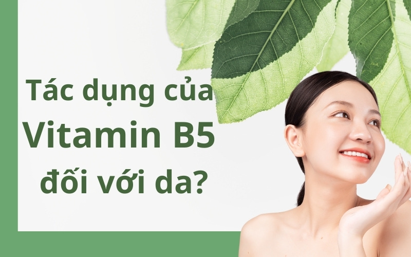 Tác dụng của vitamin b5 đối với da