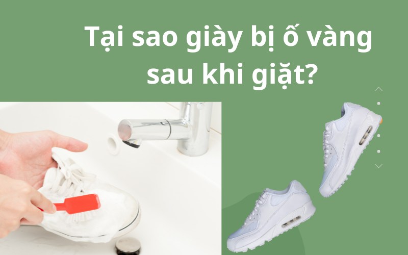 Tại sao giày trắng bị ố vàng sau khi giặt