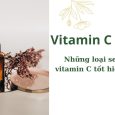 Vitamin C là gì - những loại serum vitamin C tốt hiện nay