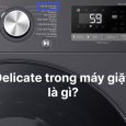 Delicate trong máy giặt là gì