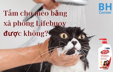 tắm cho mèo bằng xà phòng lifebuoy được không