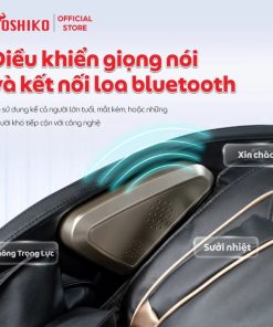 Ghế massage trị liệu toàn thân Toshiko T16