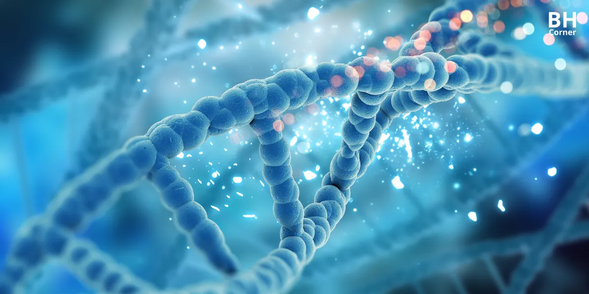 Ngực chảy xệ nên mặc áo ngực như thế nào để hạn chế chảy xệ? 5 ngực chảy xệ do gen di truyền