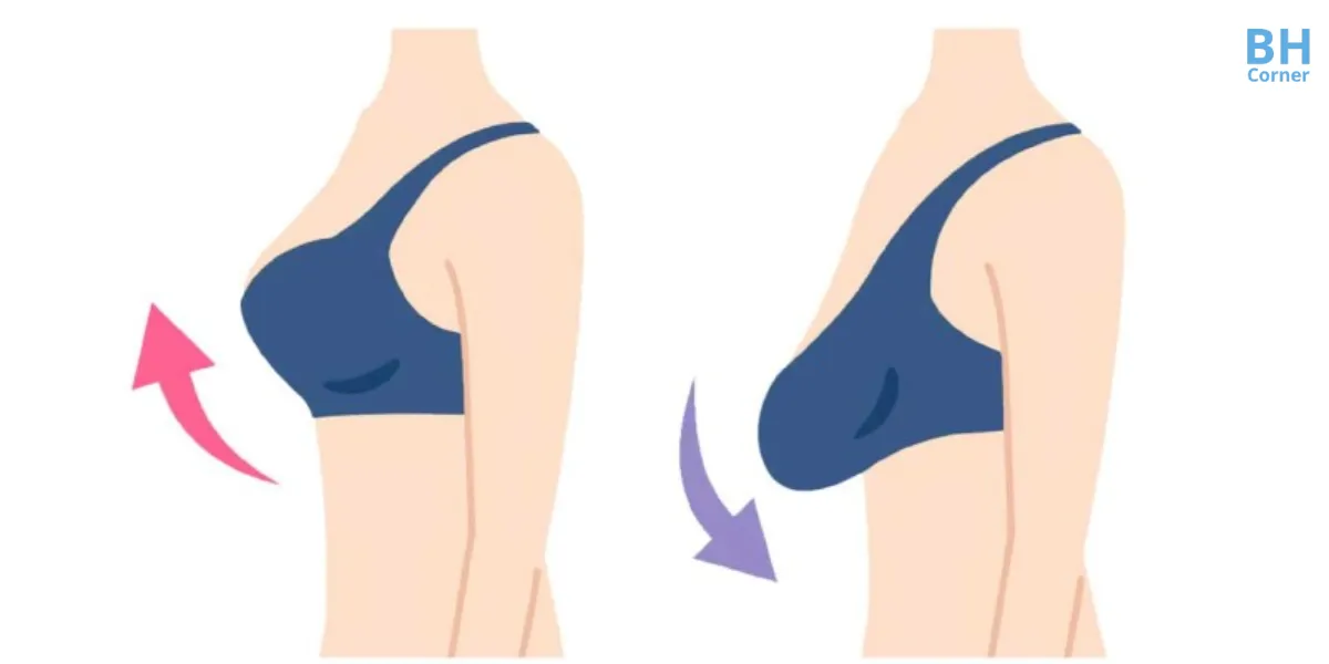 ngực xệ nên mặc áo ngực như thế nào