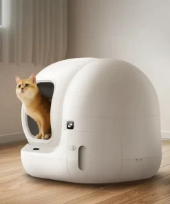 máy dọn phân mèo petkit pura max 2