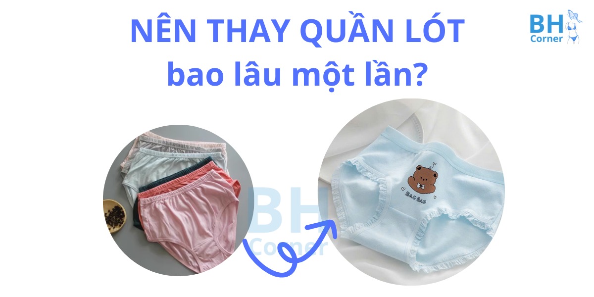 TOP 3 những loại quần lót nữ nên mặc hằng ngày, không lộ viền 20 những loại quần lót nữ nên mặc - Bao lâu thì thay quần lót một lần